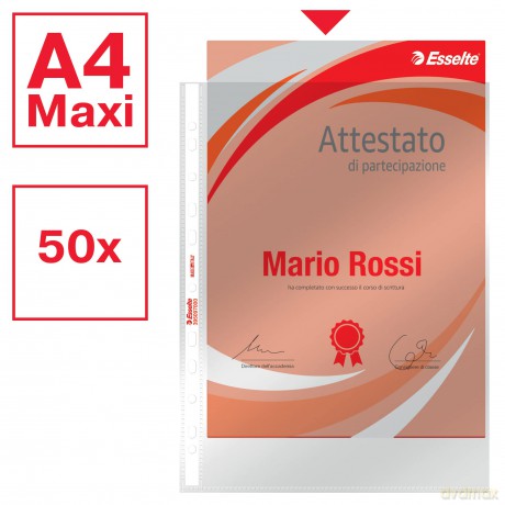 Cf50buste Office Lucida 22x30