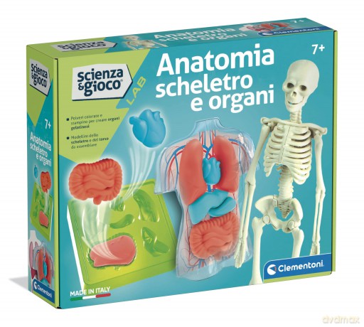 Clementoni Anatomia Scheletro E Organi