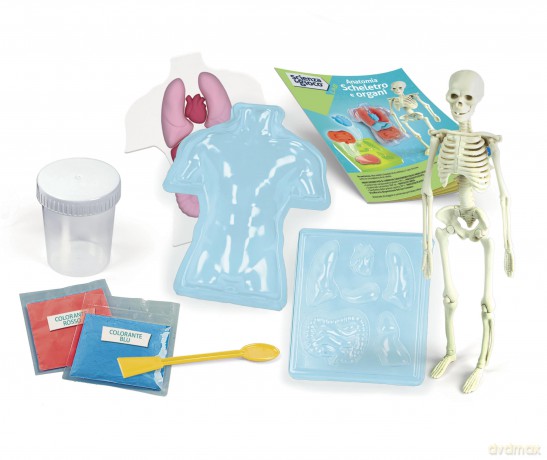 Clementoni Anatomia Scheletro E Organi