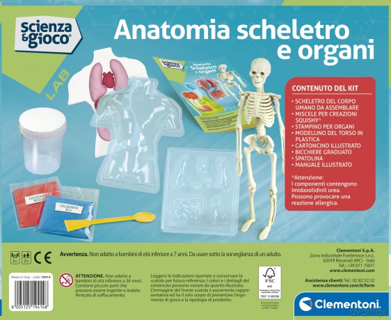 Clementoni Anatomia Scheletro E Organi
