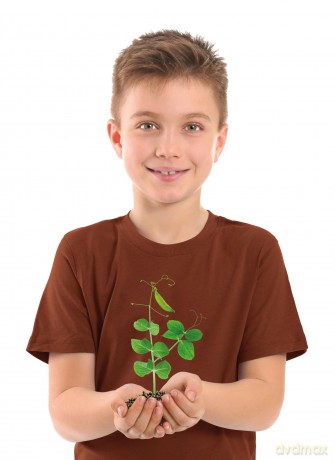 Clementoni Giochi Sientifici Lab La Botanica Made In Italy