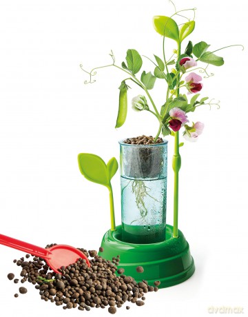 Clementoni Giochi Sientifici Lab La Botanica Made In Italy