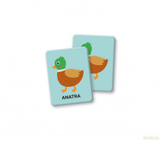 Clementoni Montessori Flashcards Primo Memo