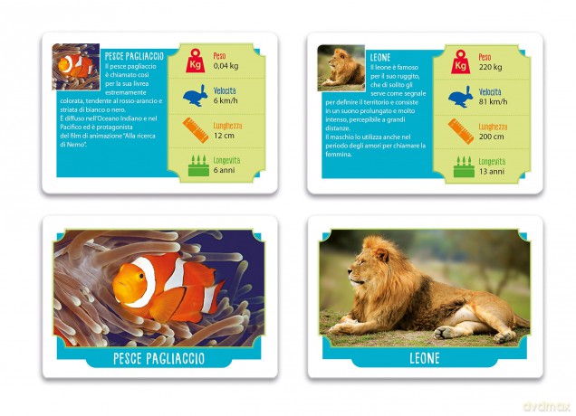 Clementoni: Board Game Carte Animali Da Record Made In Italy