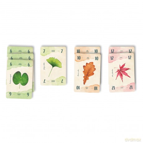 Cranio Creations: 13 Foglie