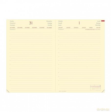 Daily 24 Prest Ml Silk Blu Elastico