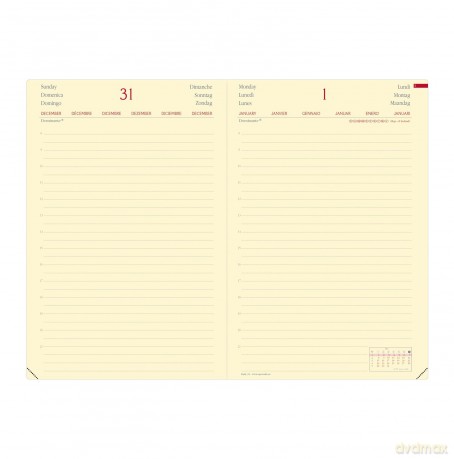 Daily 24 Prest Ml Silk Nero Elast