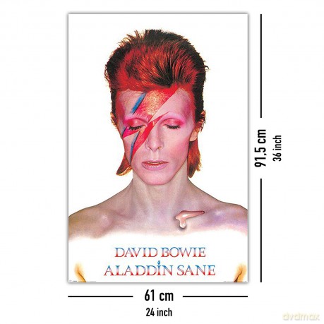 David Bowie Aladdin Sane Maxi Poster