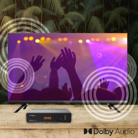 Decoder S2 Srt 7040