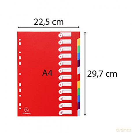 Divisori 12 Tasti A4 -Ppl Ass