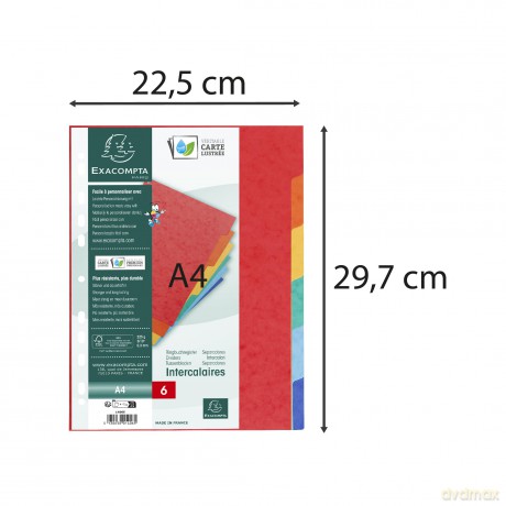 Divisori 6tasti A4 Naturefuture