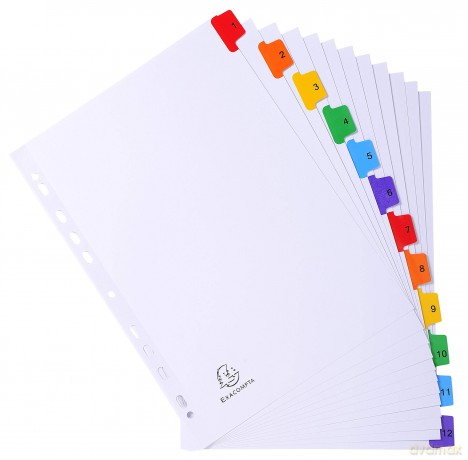 Divisori Numerici 1-12 A4 Bianco
