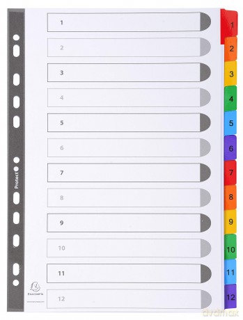 Divisori Numerici 1-12 A4 Bianco