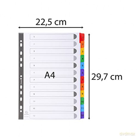 Divisori Numerici 1-12 A4 Bianco
