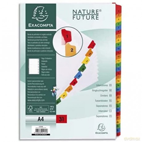 Divisori Numerici 1-31 A4 Bianco