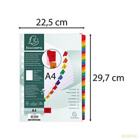 Divisori Numerici 1-31 A4 Bianco