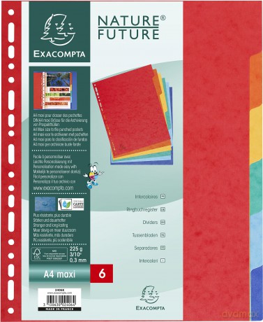 Divisori6t A4maxi Naturefuture