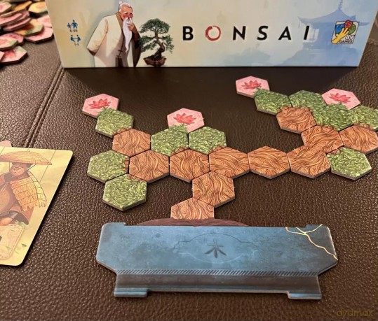Dv Giochi: Bonsai - Wooden Tiles
