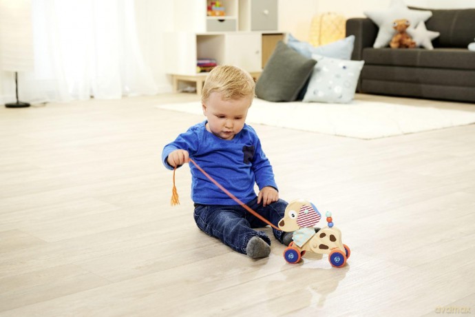 Eichhorn: Cagnolino Cm.17,5