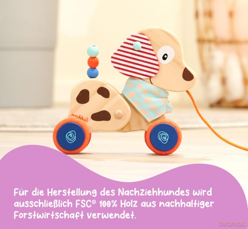 Eichhorn: Cagnolino Cm.17,5