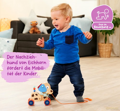 Eichhorn: Cagnolino Cm.17,5