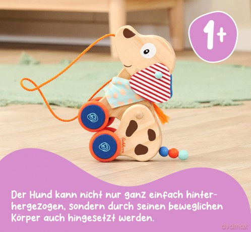 Eichhorn: Cagnolino Cm.17,5