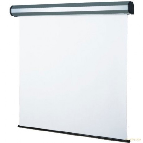 El Professional 300x225