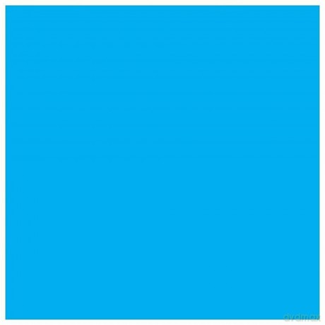 Epson Ink Cartridge 80ml - Light Cyan- C13t580500