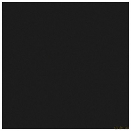 Epson Photo Ink Cartridge 80ml - Black
