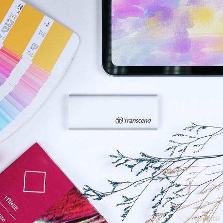 Esd260c 1tb Ext.Ssd Usb Type C