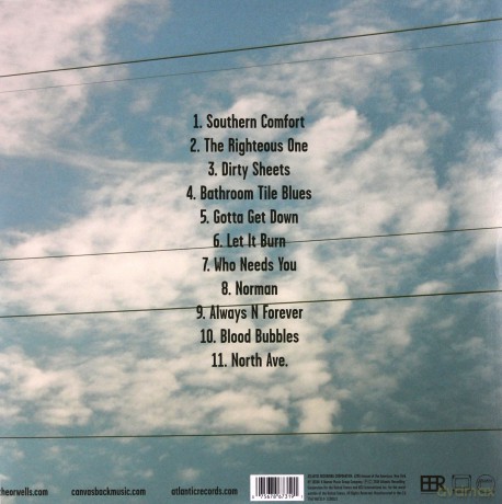 The Orwells: Disgraceland [Winyl]