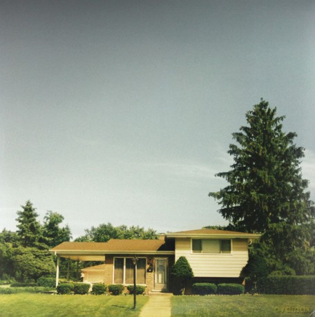 The Orwells: Disgraceland [Winyl]