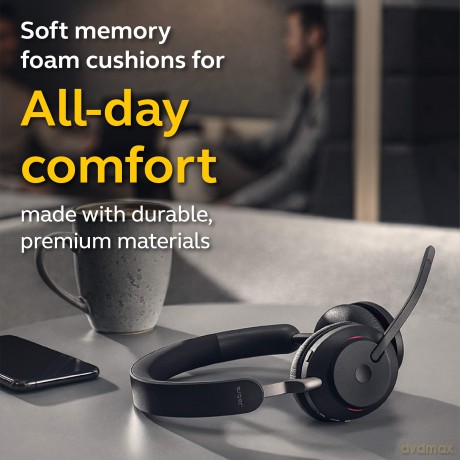 Evolve2 65 Link380a Ms Duo W/Stand