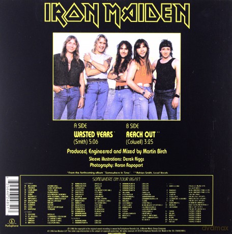 Iron Maiden: Wasted Years (Limited Edition) [Winyl]