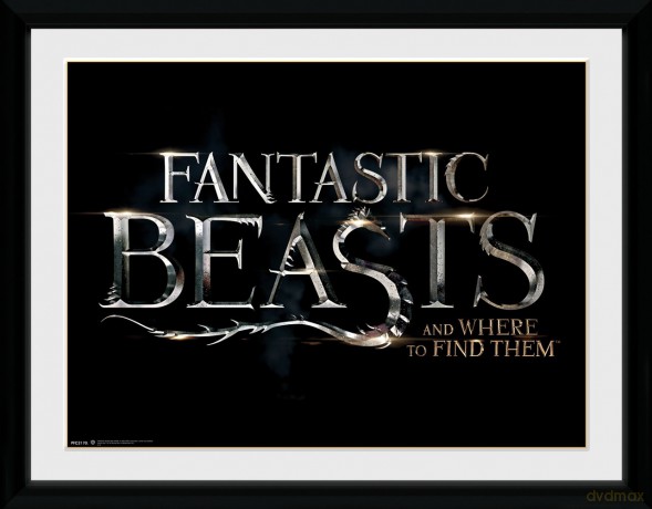 Fantastic Beasts Logo Framed Photographic Print, 30 X 40 Cm