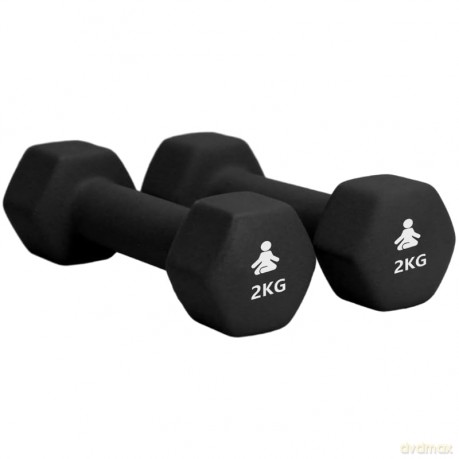 Fitpaddy Dumbbell 0.5 Kg 2 Pcs