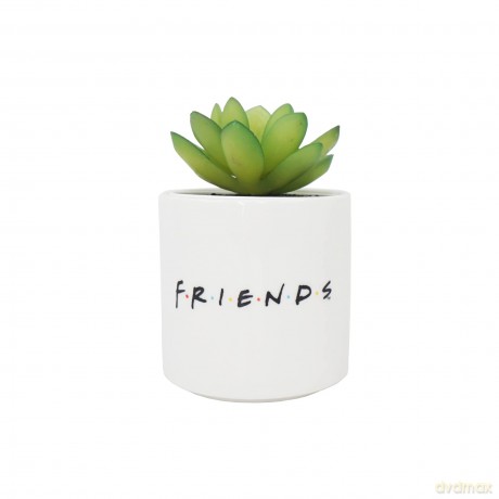 Freinds - Central Perk - Faux Plant Pot 6.5cm