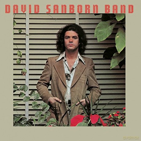David Sanborn: Promise Me The Moon [CD]