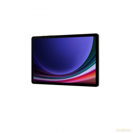 Galaxy Tab S9 Wifi 256gb 11