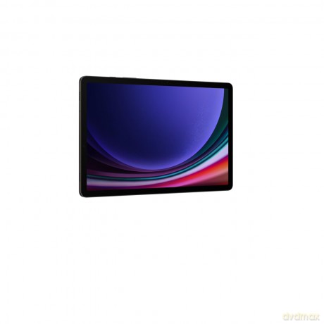 Galaxy Tab S9 Wifi 256gb 11