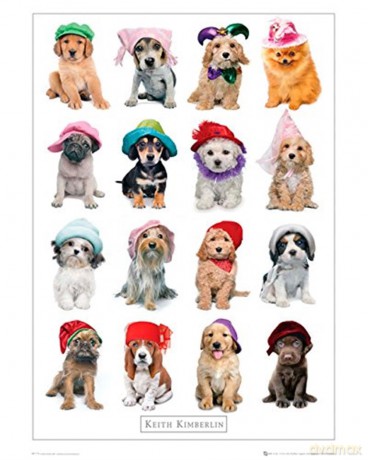 Gb Eye "Keith Kimberlin, Hats" Mini Poster, Multi-Colour