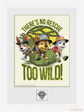 Gb Eye Ltd Paw Patrol, No Rescue Too Wild, Plakat w ramie 30x40cm, Various