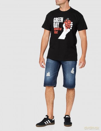 Green Day Men's Tee: American Idiot (Large)