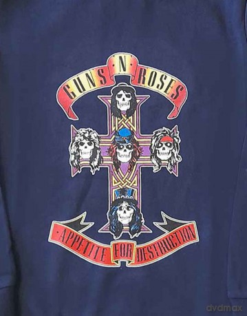 Guns N' Roses Kids Youth's Fit Sweatshirt: Appetite for Destruction (7 - 8 Years (Large))