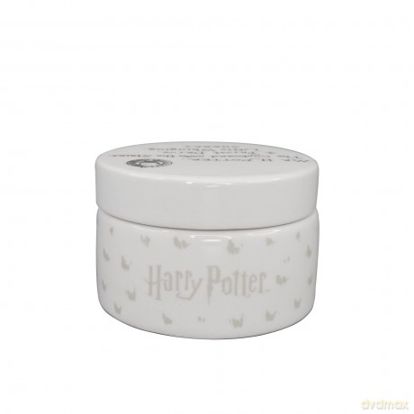 Harry Potter - Hedwig - Ceramic Round Box