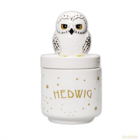 Harry Potter - Hedwig - Collectors Box