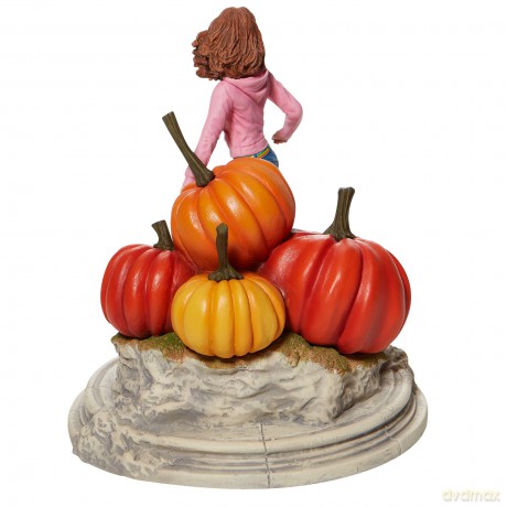 Harry Potter Hermione con Zucche
