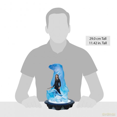 Harry Potter Hermione Granger Patronus Lontra