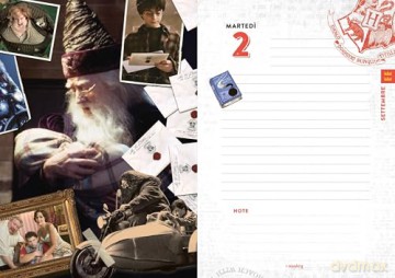 Harry Potter. Diario 2025-2026