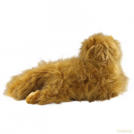 Harry Potter: Crookshanks Collector Plush
